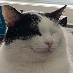 Meet your Posher, Bradley